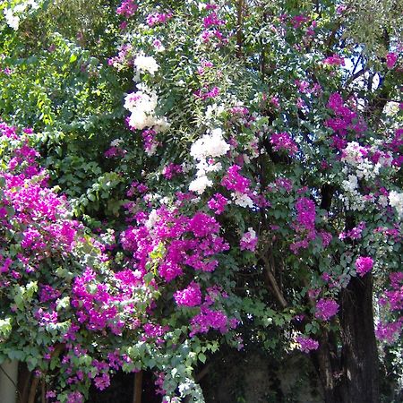 Hotel Gulec Bodrum Buitenkant foto