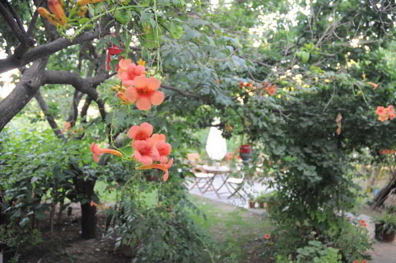 Hotel Gulec Bodrum Buitenkant foto